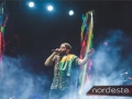 Festeja - NEVIP 113