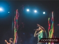 Festeja - NEVIP 114