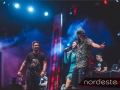 Festeja - NEVIP 173