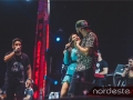 Festeja - NEVIP 176