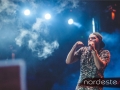 Festeja - NEVIP 183