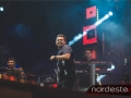 Festeja - NEVIP 203