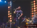 Festeja - NEVIP 226