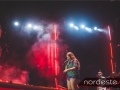 Festeja - NEVIP 350