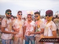 Happy Holi 219