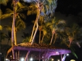 DSC06685