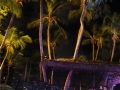 DSC06687