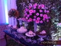 DSC01565