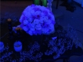 DSC01610