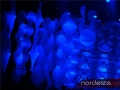 DSC02768