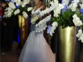 DSC01241