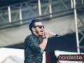 Vilamix - NEvip-99
